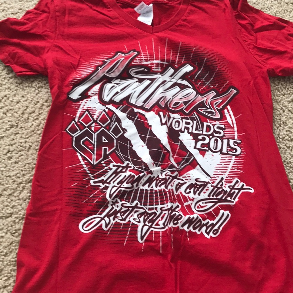 Cheer athletics panthers